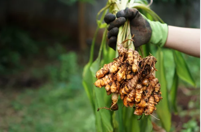 Spice Image
